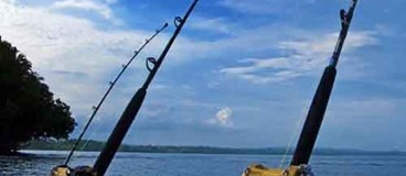 لنسر ماهیگیری چیست؟ راهنمای خرید چوب ماهیگیری